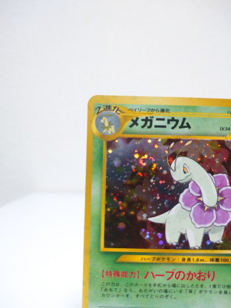 しん  ジョウト御三家3セット メガニウム種 バクフーン種 オーダイル種