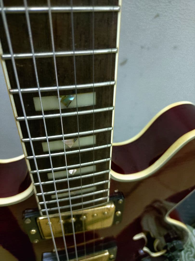 プレイテック SA500 セミアコ