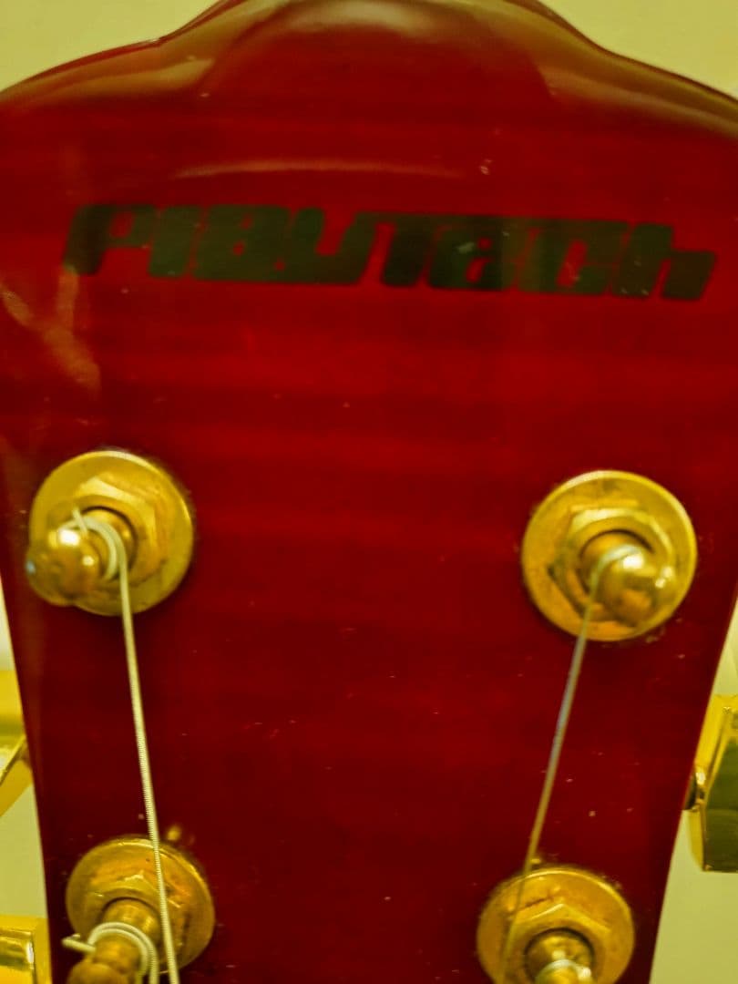 プレイテック SA500 セミアコ