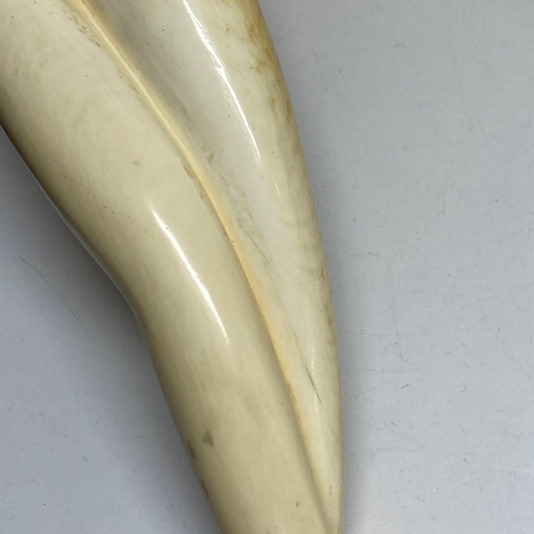 中国清時代 極上 裸姉 403g 東キ7-1004☆2F トニカ