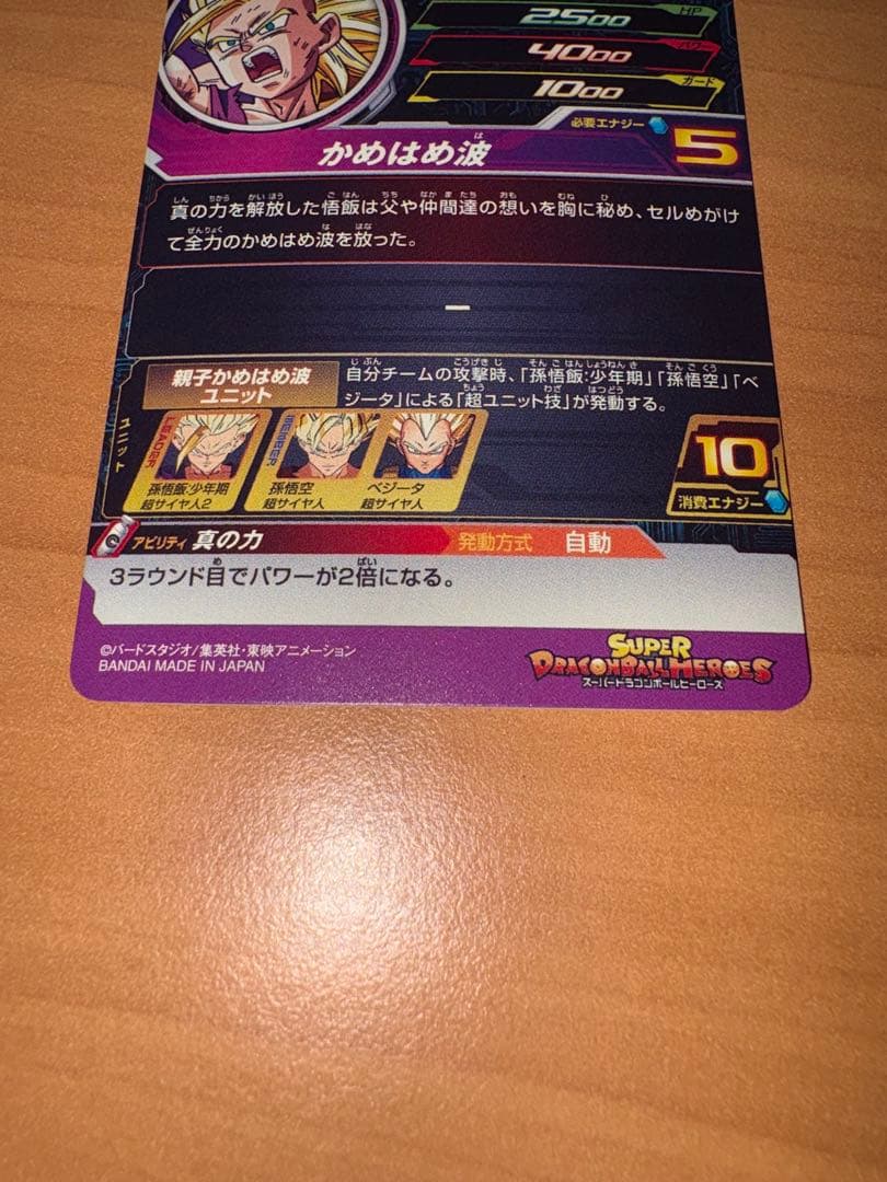 H2-16 P 孫悟飯：少年期