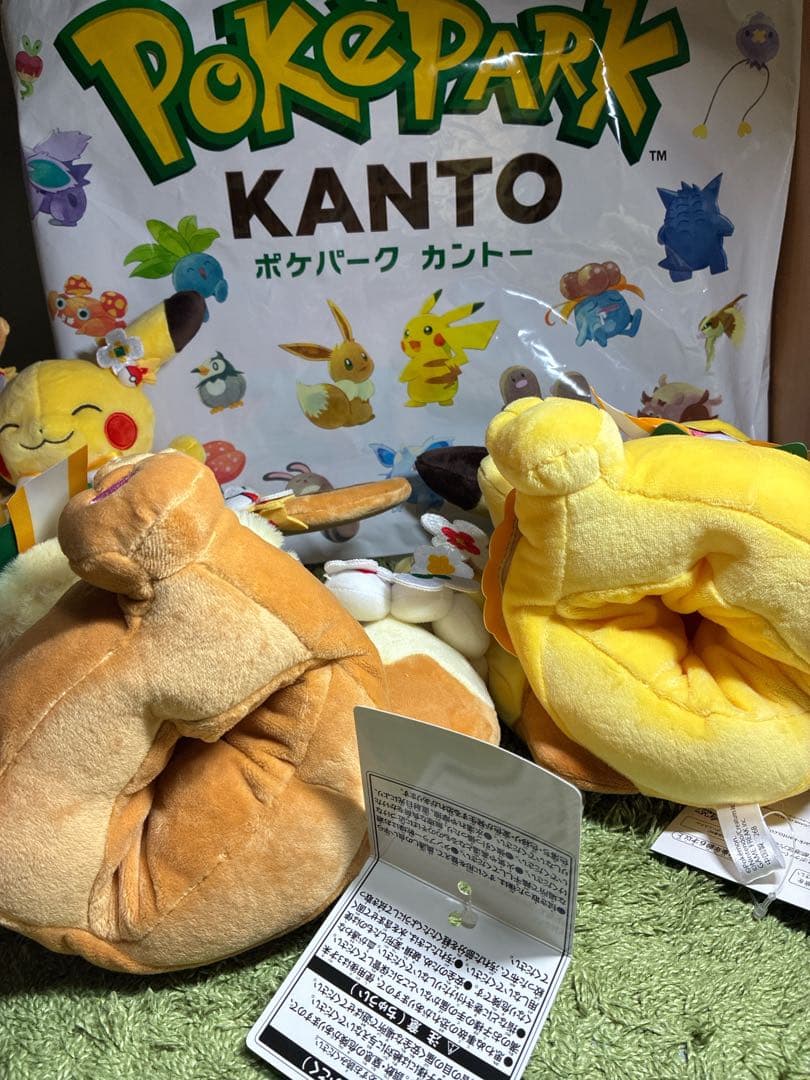 ポケパーク ピカチュウ イーブイ ぬいぐるみセット