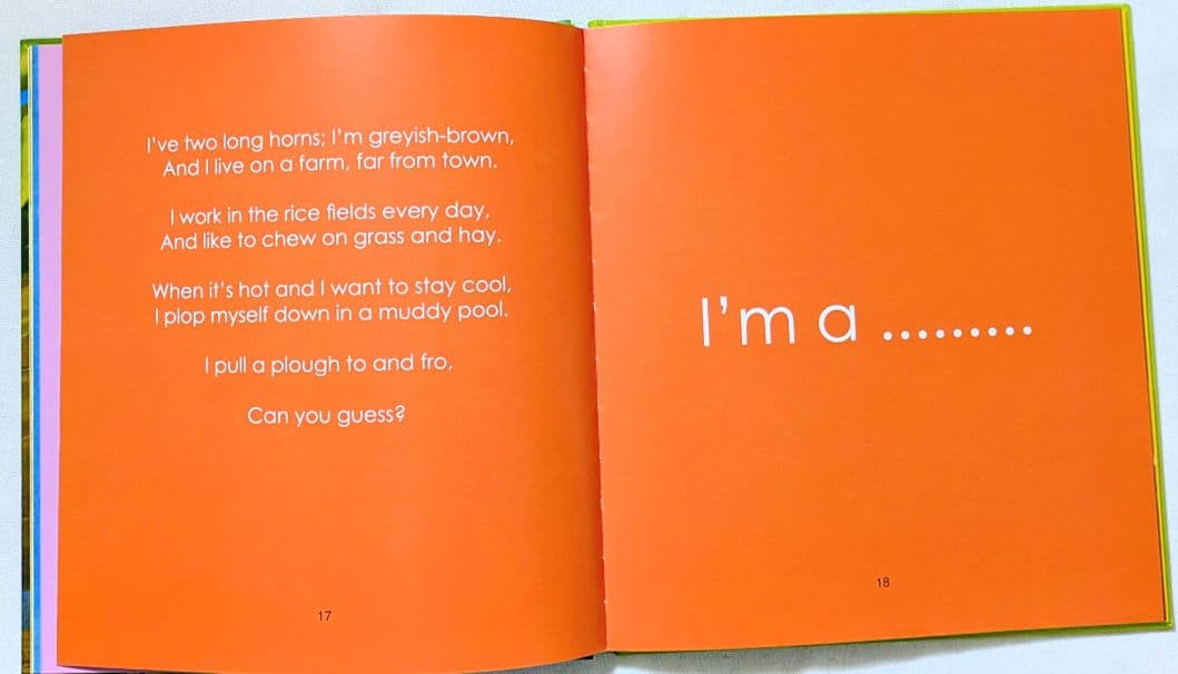 確認用◆洋書☆オススメ♪ 動物当てクイズが楽しめる絵本◆