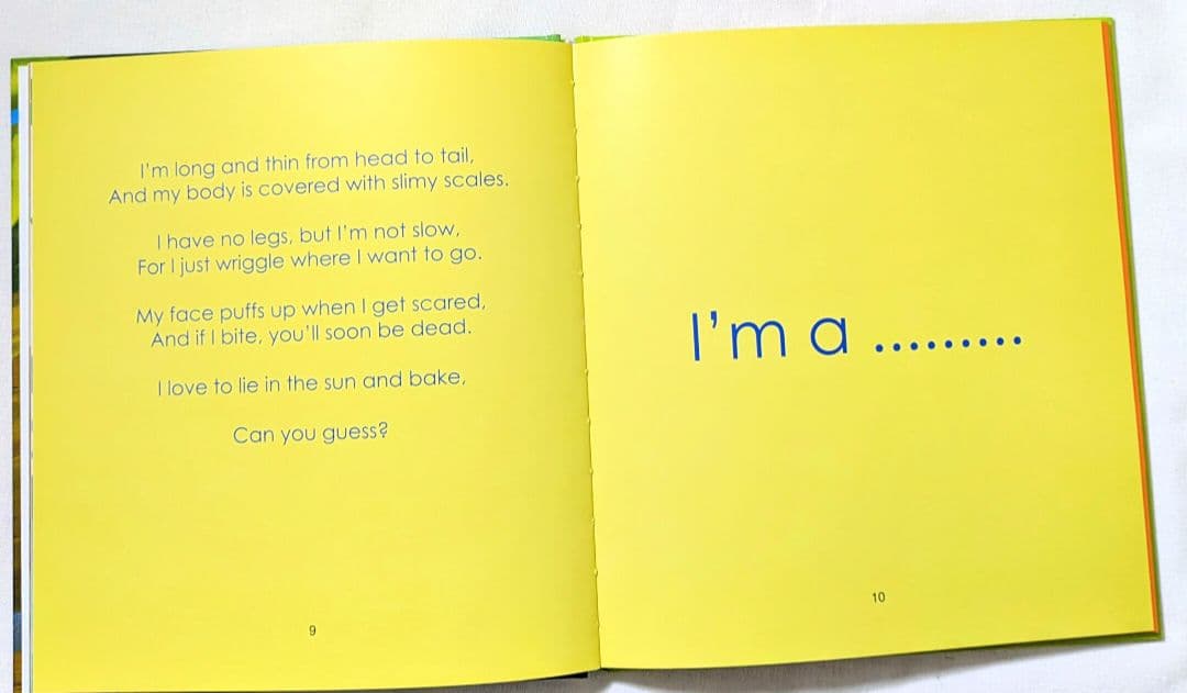 確認用◆洋書☆オススメ♪ 動物当てクイズが楽しめる絵本◆