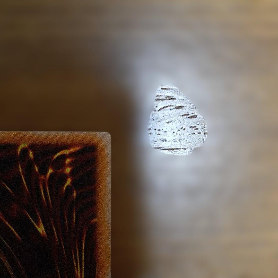 遊戯王　ブラックデーモンズドラゴン　レリーフ