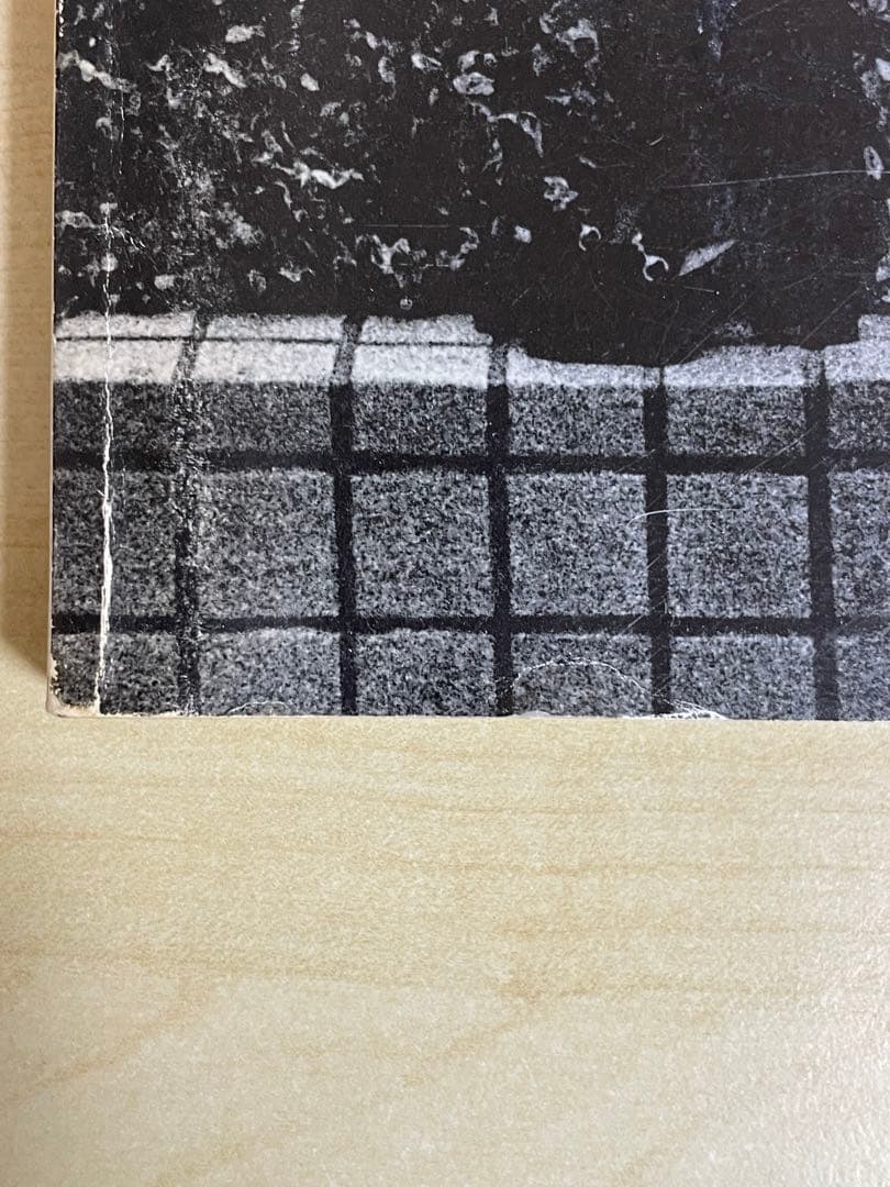 森山大道 Daido hysteric no.6 1994