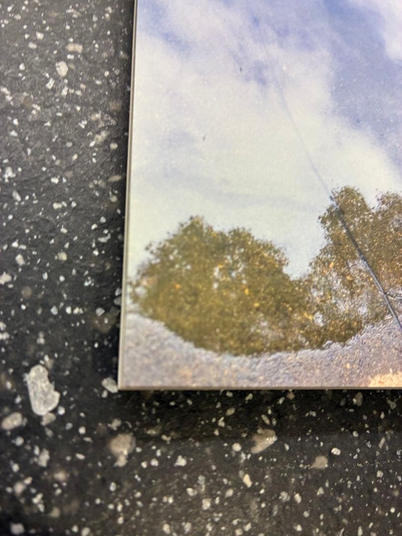 【週末限定値下げ】9mm parabellum bullet The World