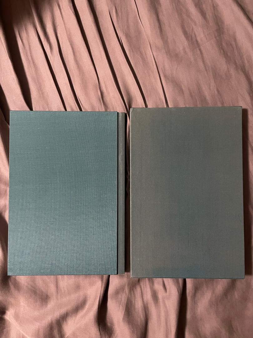 超希少!! mame kurogouchi 小浪次郎