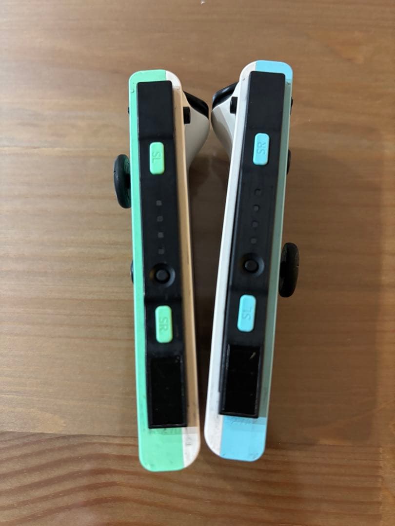 Nintendo Switch あつまれ どうぶつの森セット　専用ケース付き