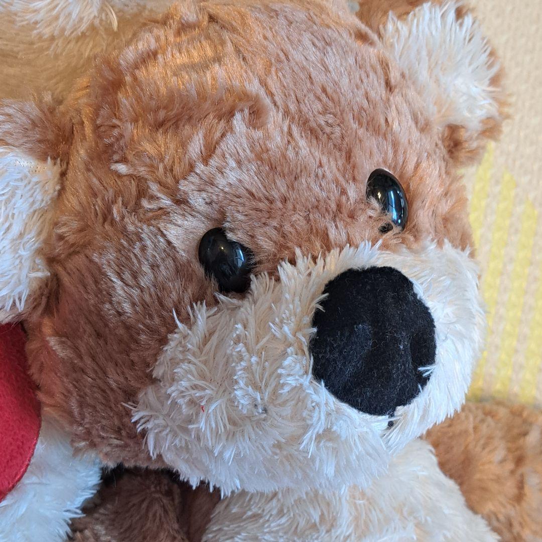 スージーズー　サンアロー　ハート　ぬいぐるみ2体セット　SunArrow　大きい