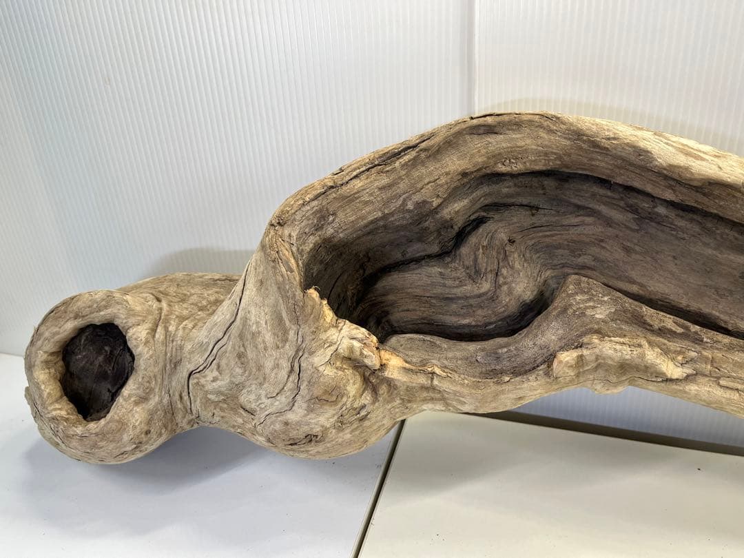 V3 特大流木 アク抜き済み流木 爬虫類シェルター 登り木 インテリア 生け花