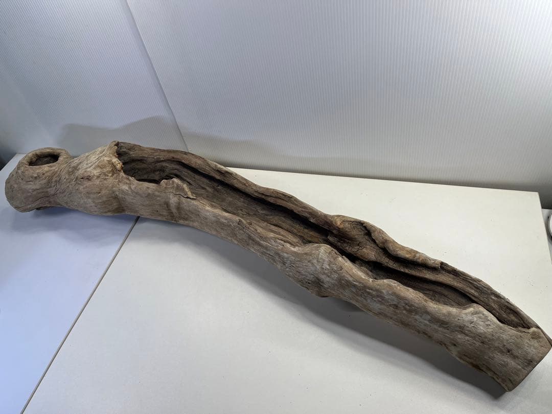 V3 特大流木 アク抜き済み流木 爬虫類シェルター 登り木 インテリア 生け花