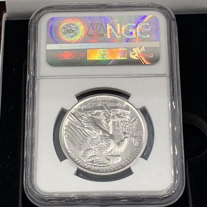 2017　パラジウム イーグル　モダン　NGC MS70ER　　E2