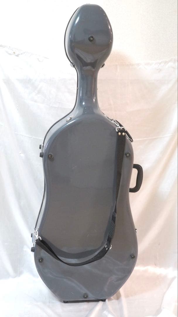 Benedikt Lang ベネディクト・ラング チェロ 4/4 ハードケース付