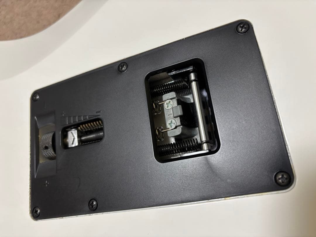 【値下げ】アイバニーズ RG350DXZ ホワイト　ソフトケース・ストラップ付き