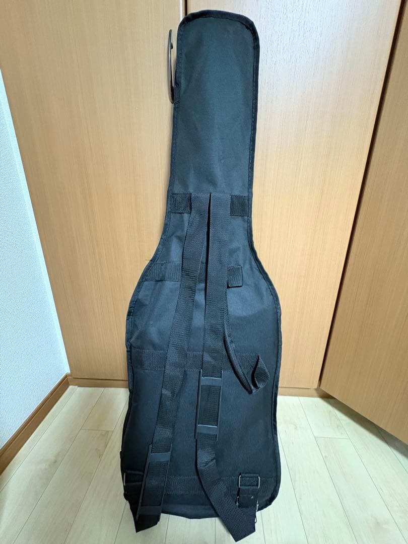 BUSKER'S エレキギター ブラック