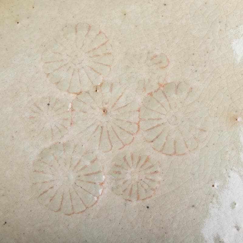 和食器　京焼　清水焼　陶楽造　向付　五客　共箱　V　7839