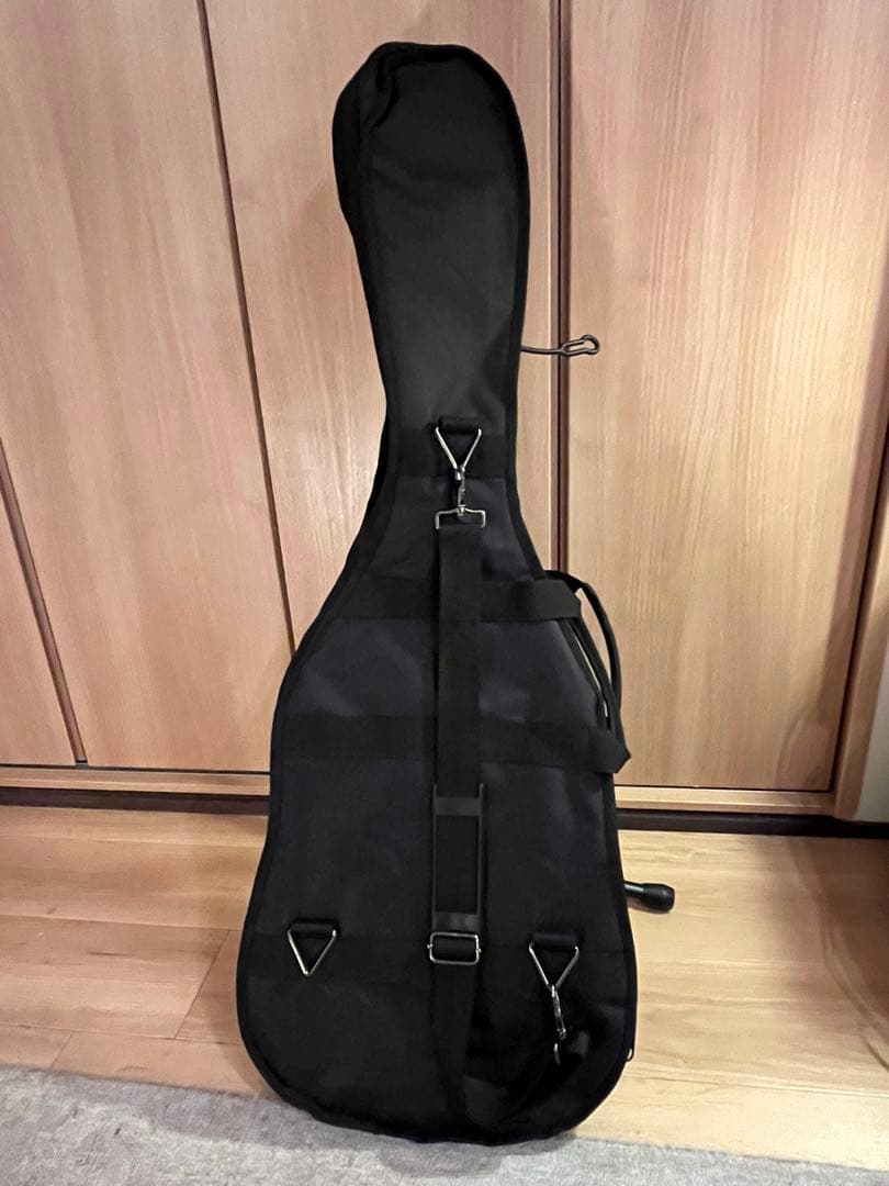 値下げ★Bacchusハードクラブテッドイクイップメント　エレキギター