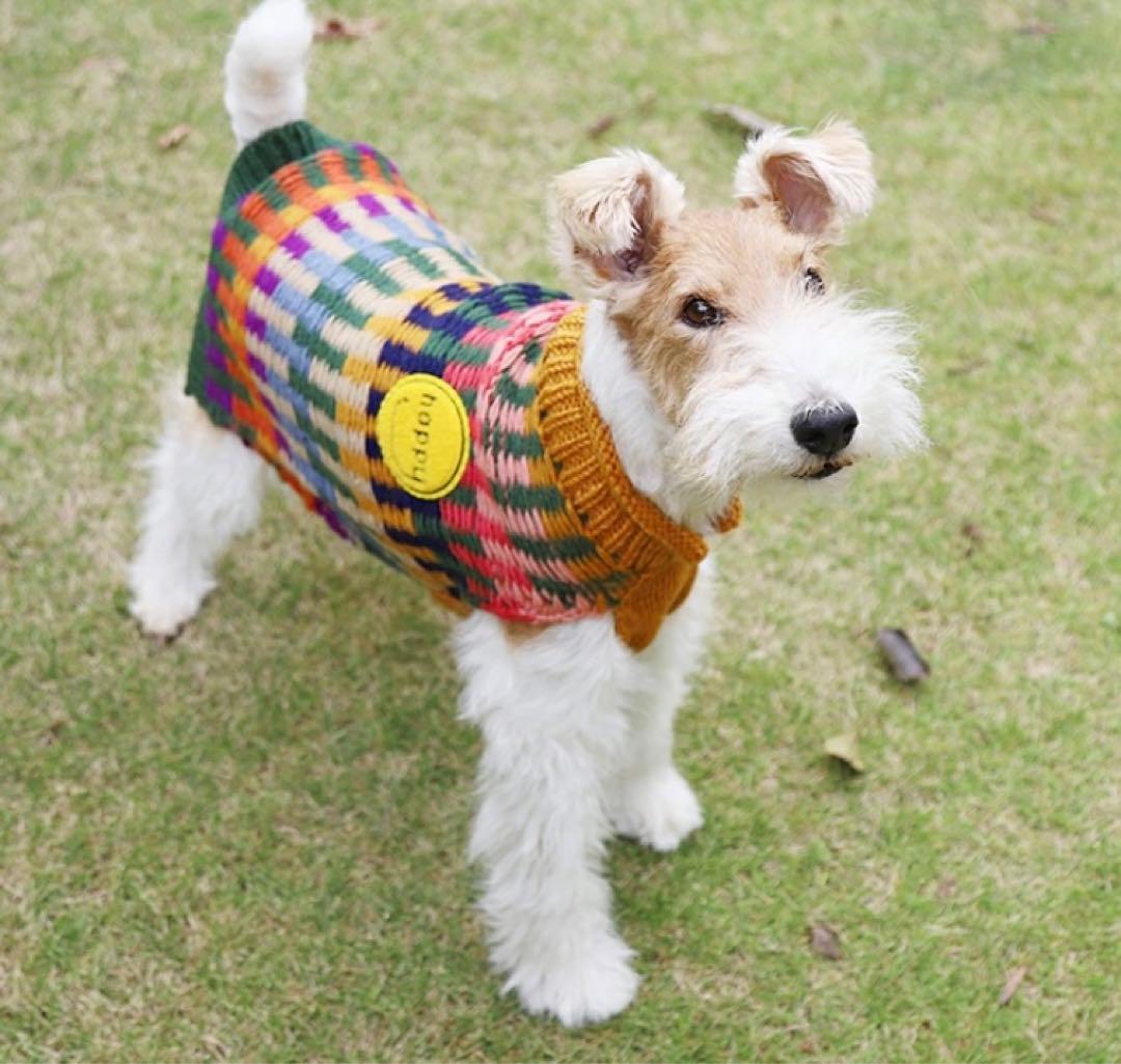 新品　犬服　E Ripple ドッグセーター ニット　ジョージ　14
