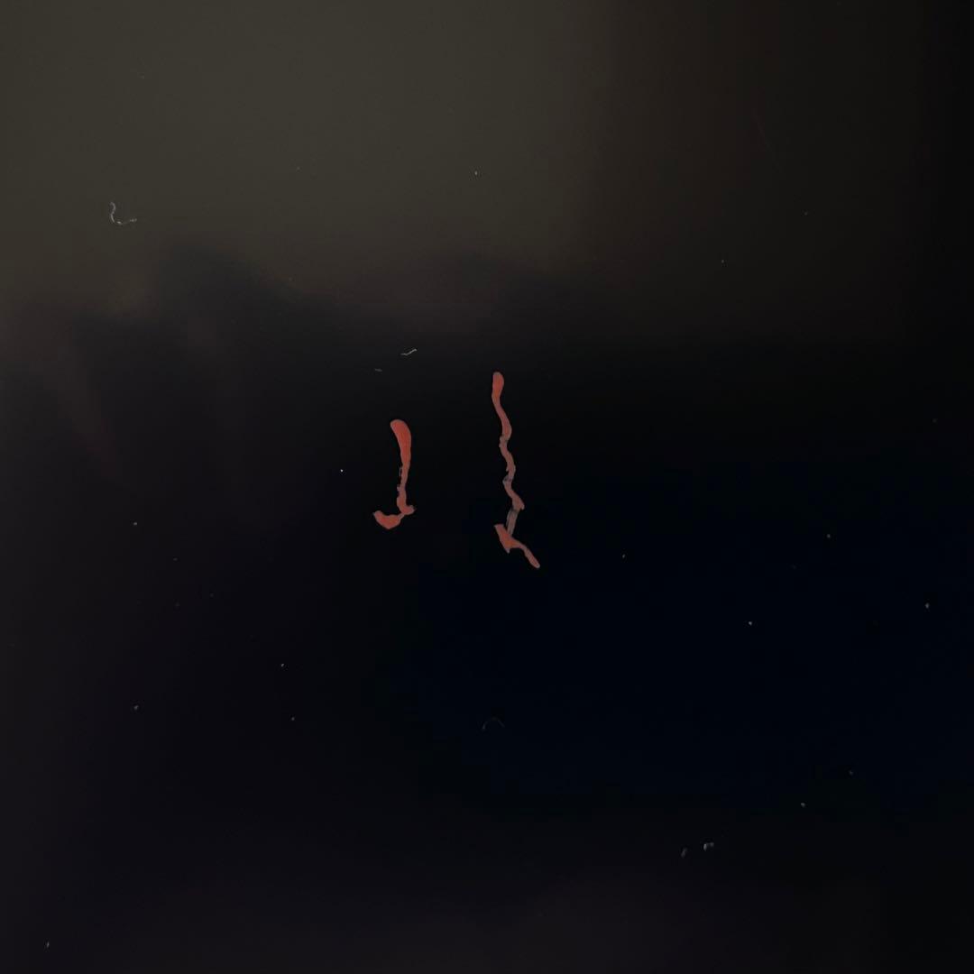 茶道具　銘々皿　五客組　粟絵　一閑　ヘギメ　服部峻昇　共箱　漆器　菓子器　工芸