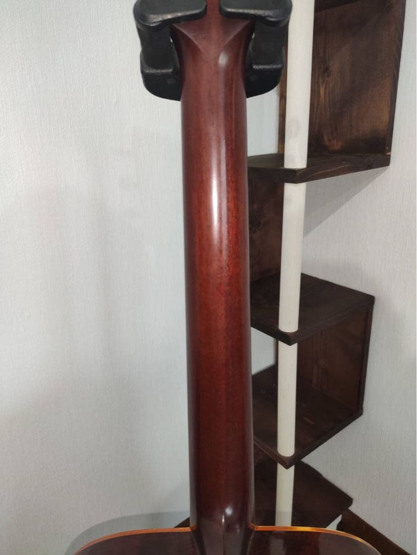 ギター Takamine Elite TW-40