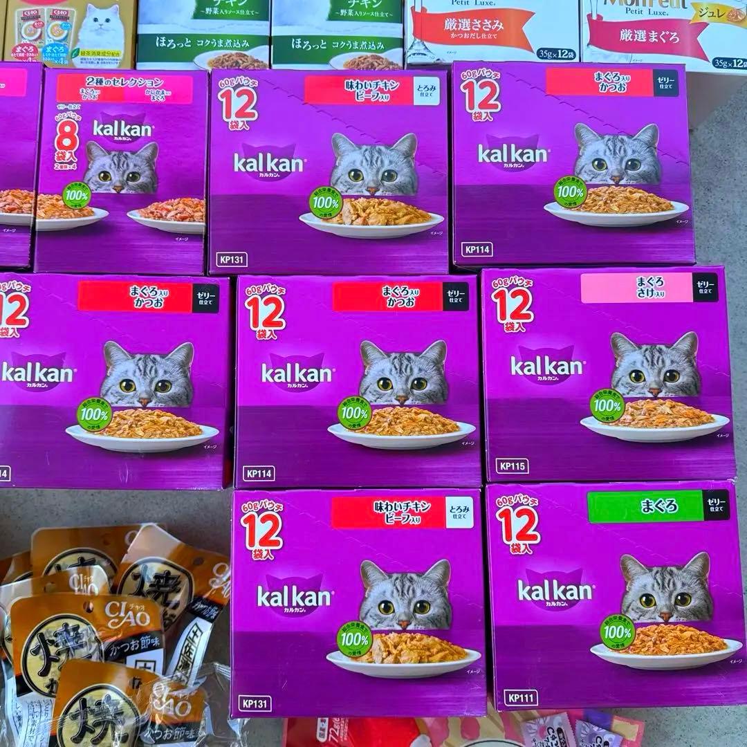 猫B 超激安！