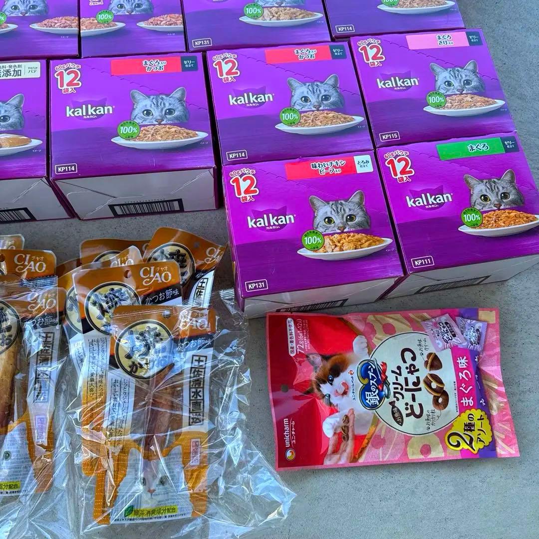 猫B 超激安！