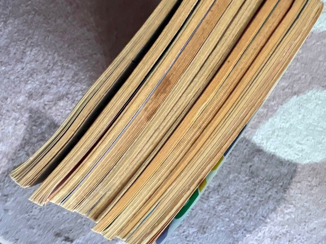 ブラジル　漫画　Monica Cascao CHICO BENT 他　まとめ売り