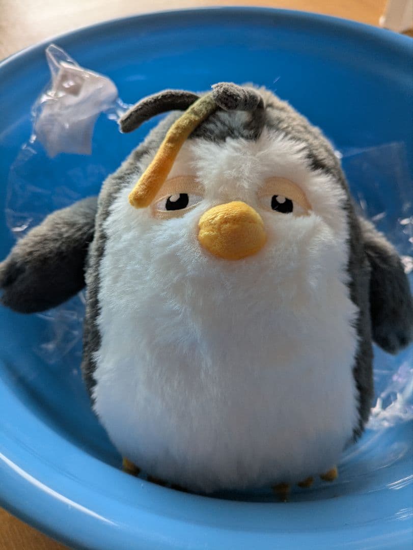 ギョンス　チレンイ　18cm