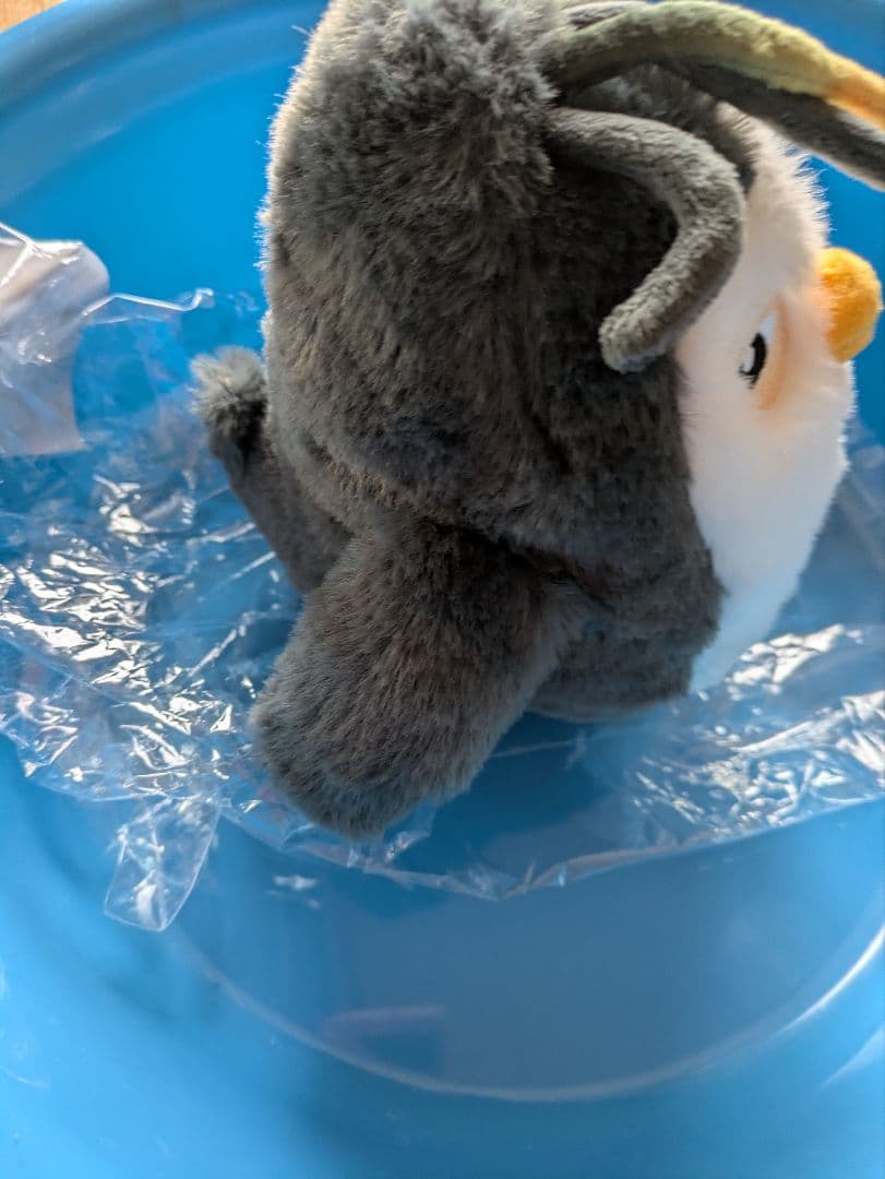 ギョンス　チレンイ　18cm