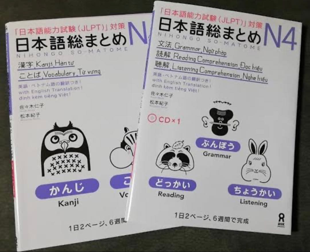 日本語総まとめN1-N2-N3-N4-N5（ベトナム語・英語版） 18冊セット