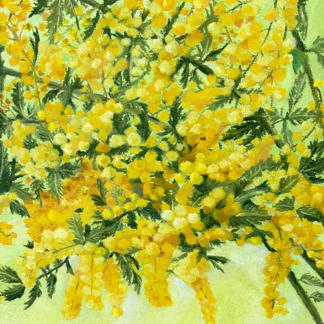 パステル画「ミモザ」（額付き）