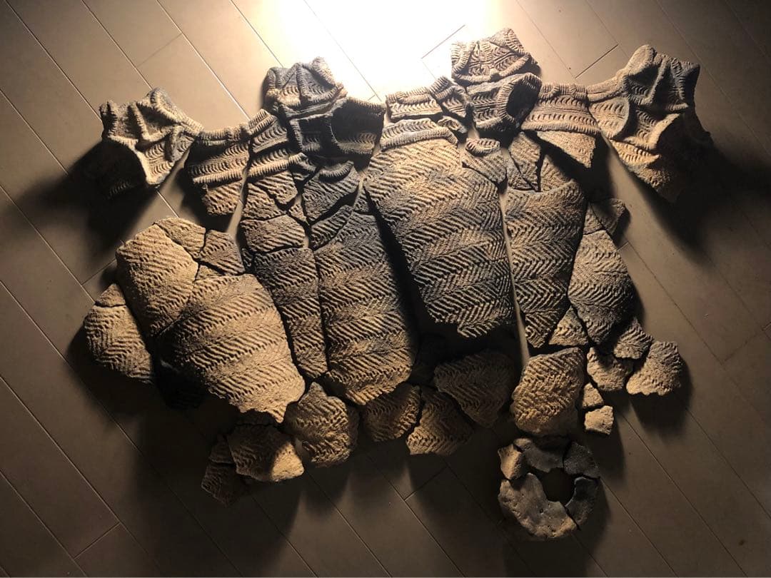 「縄文土器の欠片 No.507」です。