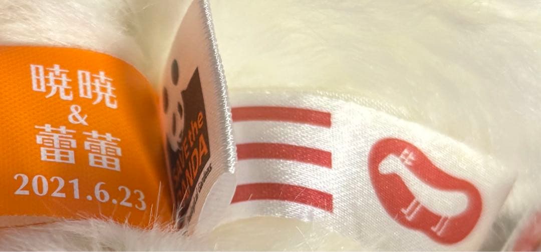 【タグ付き新品上野動物園　パンダ　レイレイ　抱っこぬいぐるみ