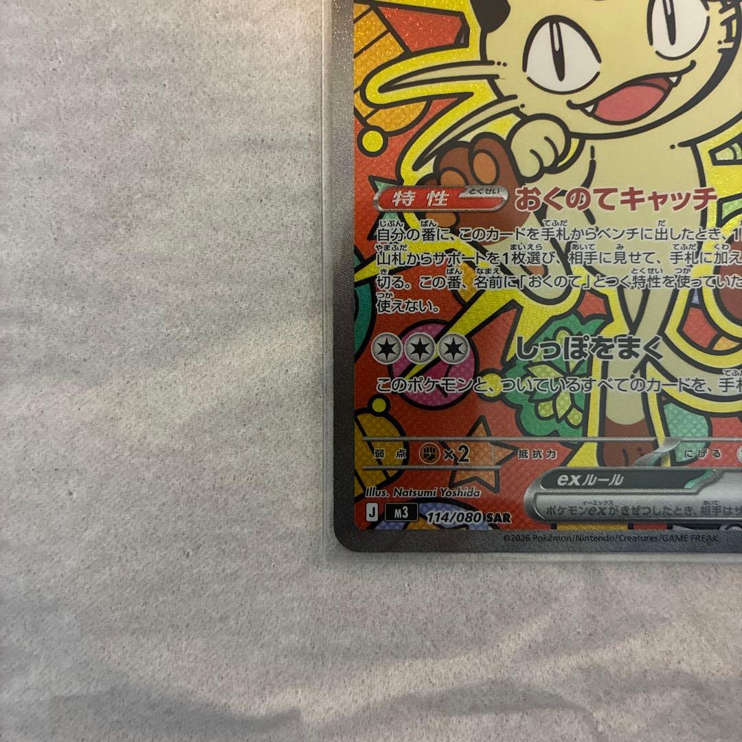 ニャース　sar