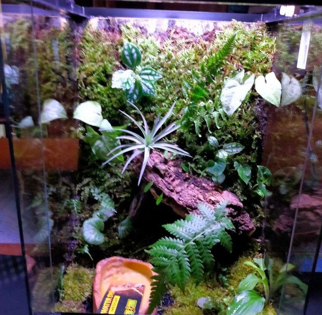 隠れ家付き！大自然の中の飼育箱、