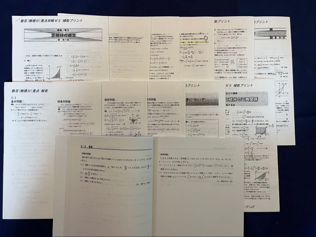 大数ゼミ 微積分重点攻略ゼミ