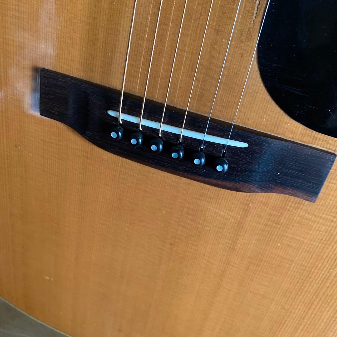 MC　希少Cat's Eyes CE-800 前期ハカランダ