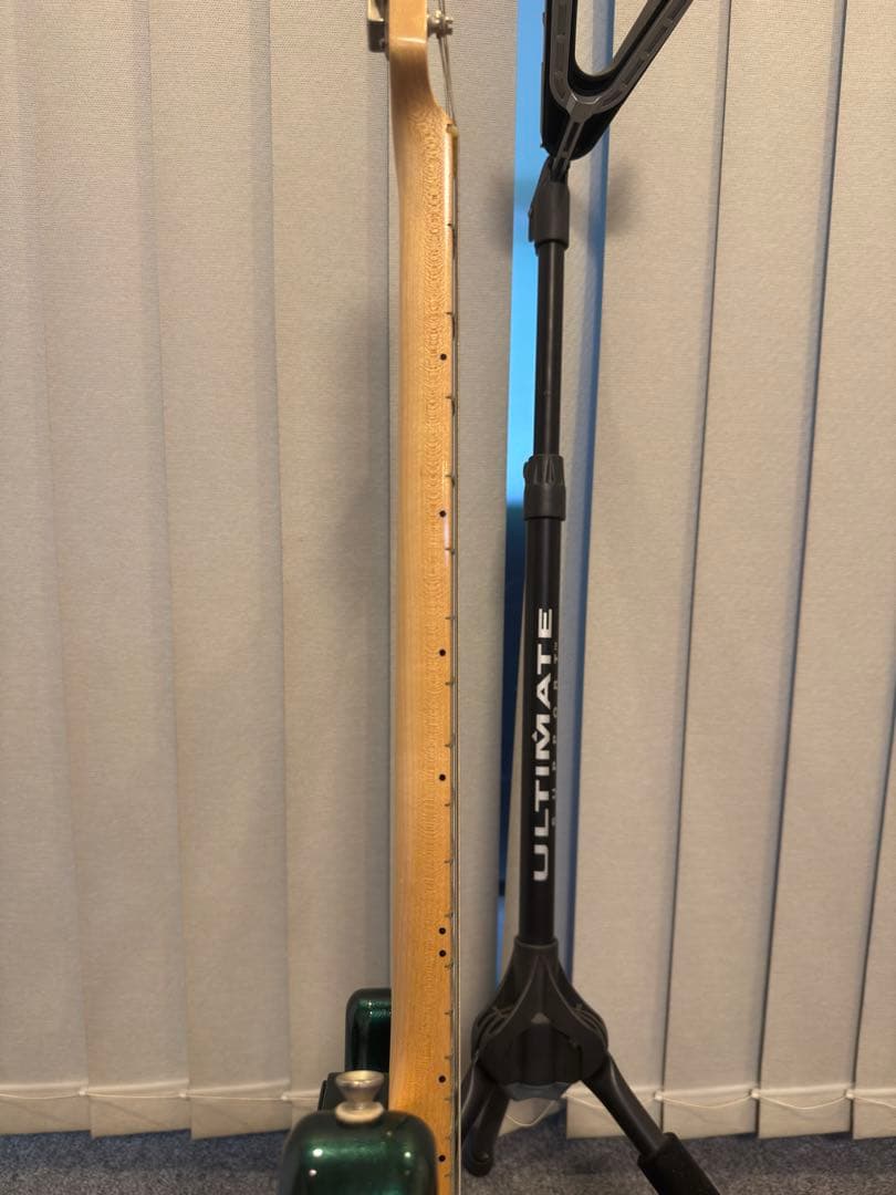 ギター Vanzandt STV-R1