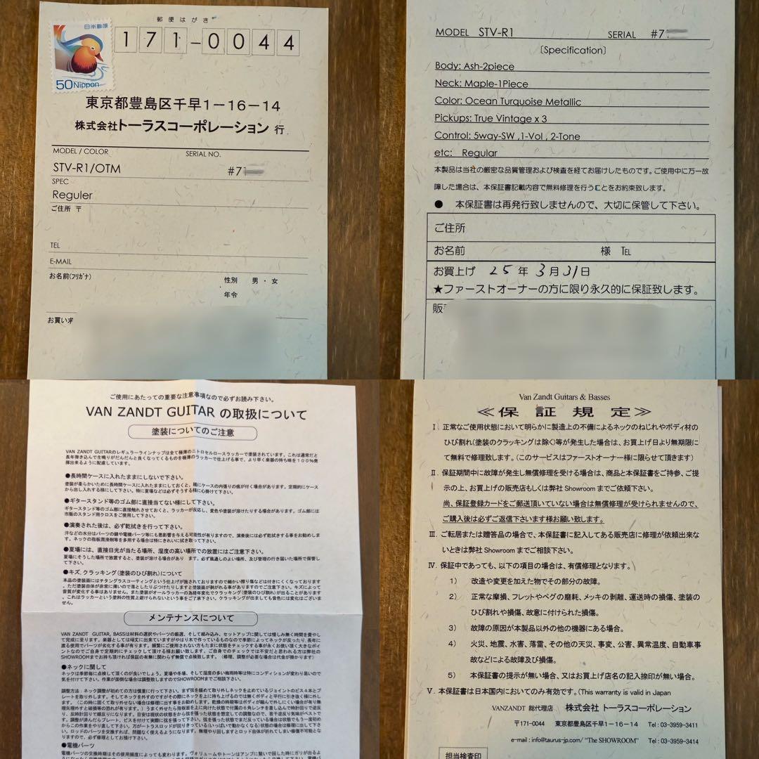 ギター Vanzandt STV-R1