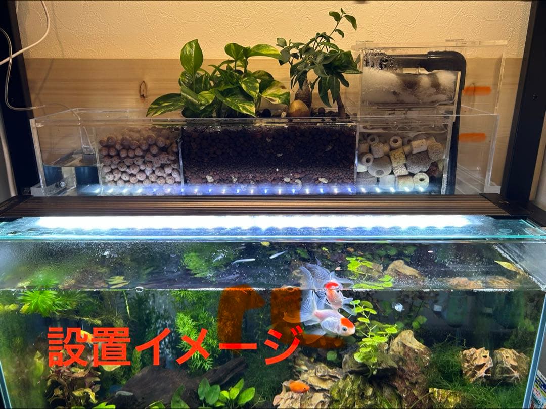 60cm幅水槽用　アクリル上部濾過槽アクアポニックス仕様