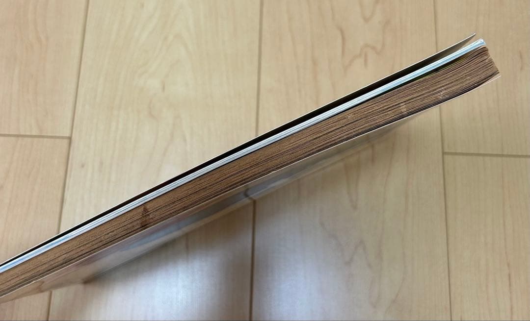 キャプテン翼　熱闘スペシャル