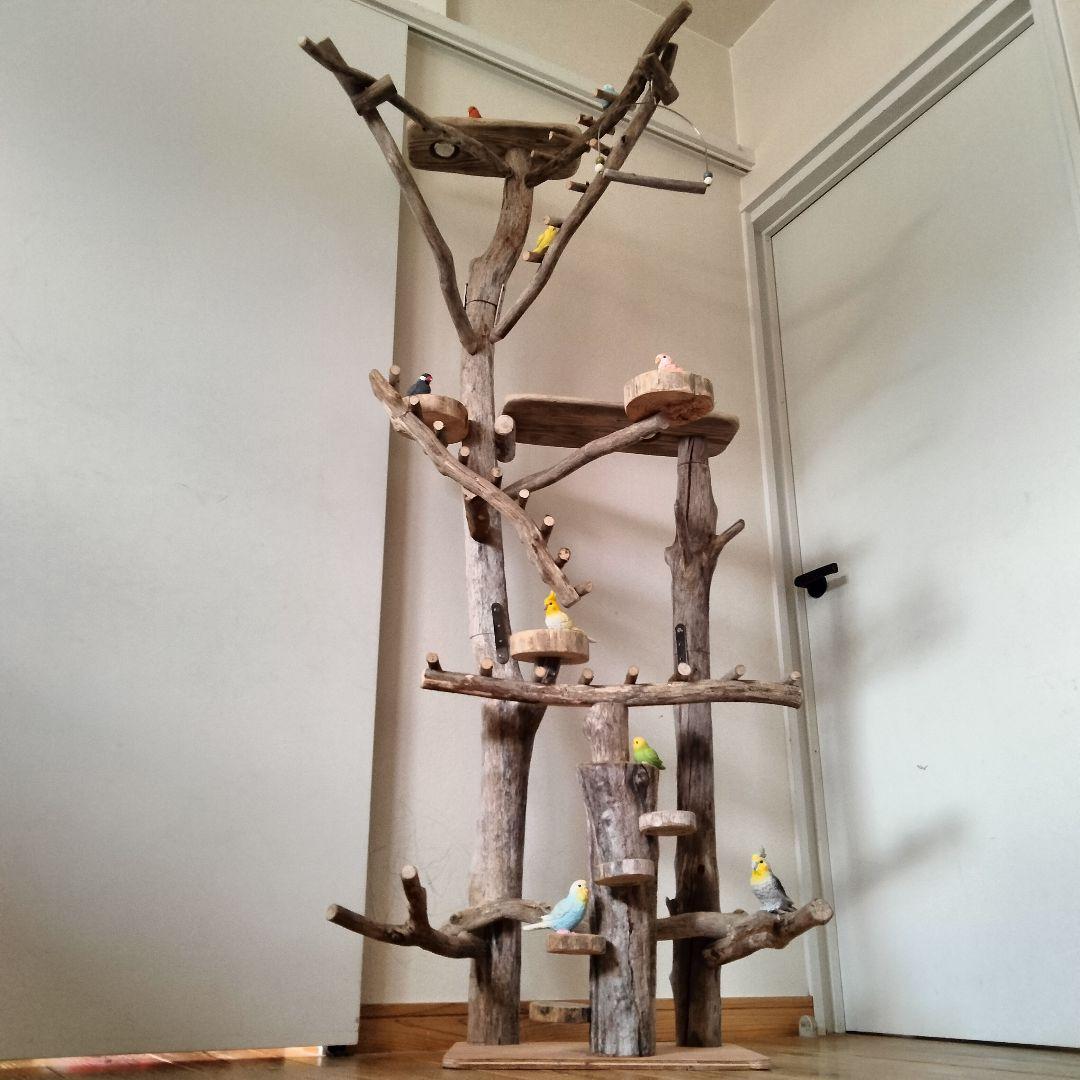 ことり バードアスレチックジム大型 天然木 自然木 流木 止まり木 インコ