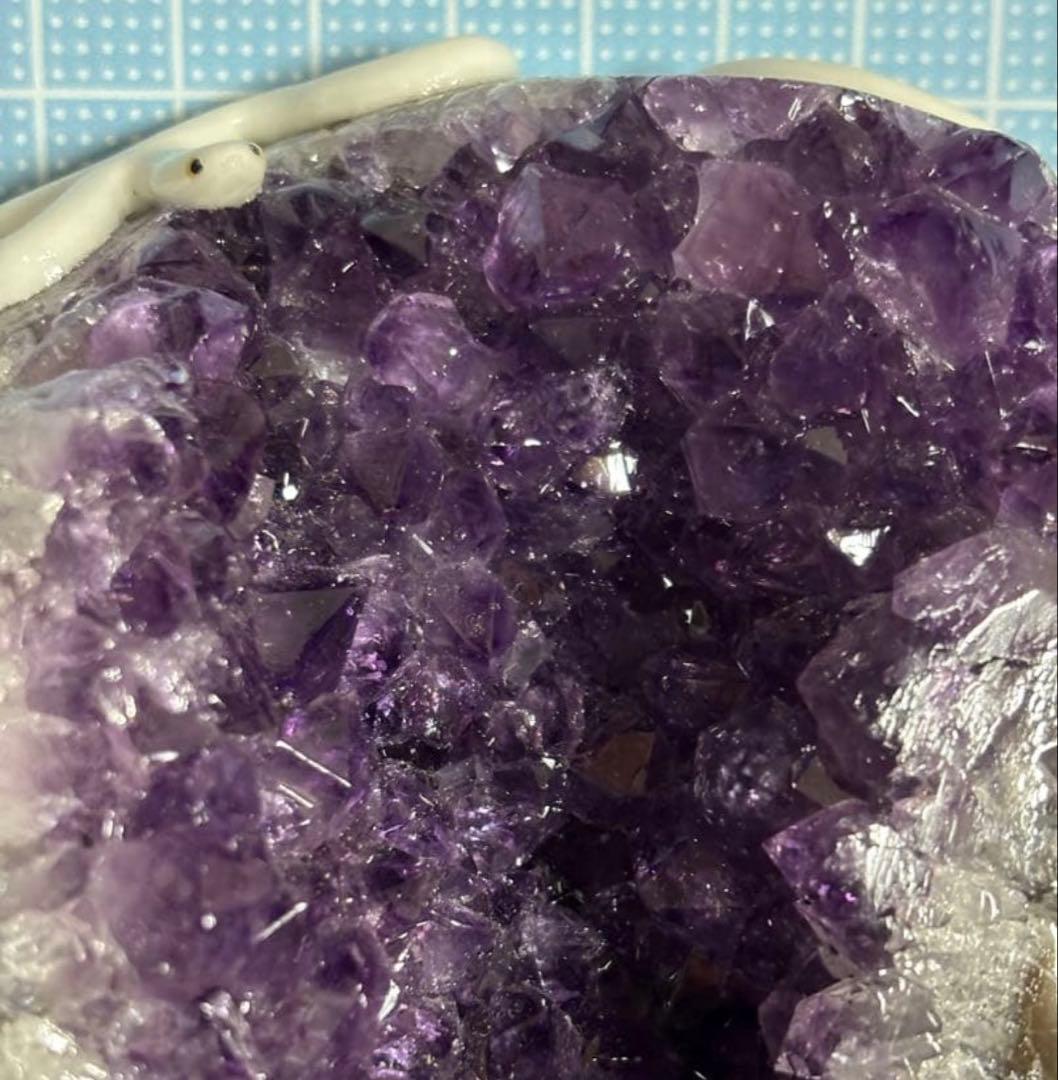 金蛇水神社限定　白蛇アメジスト