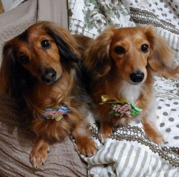 みるく様　画像確認用