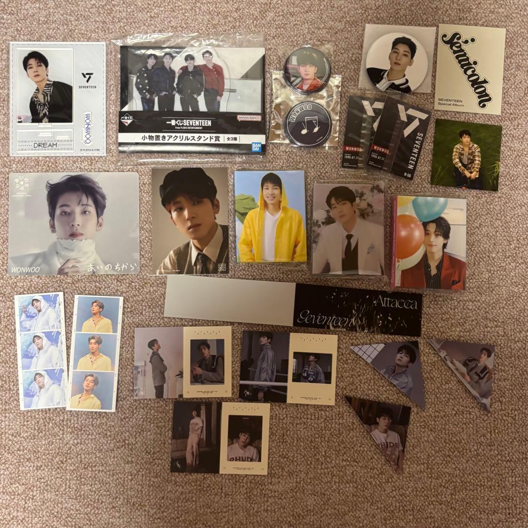 RT-188309 seventeen ウォヌ　セット