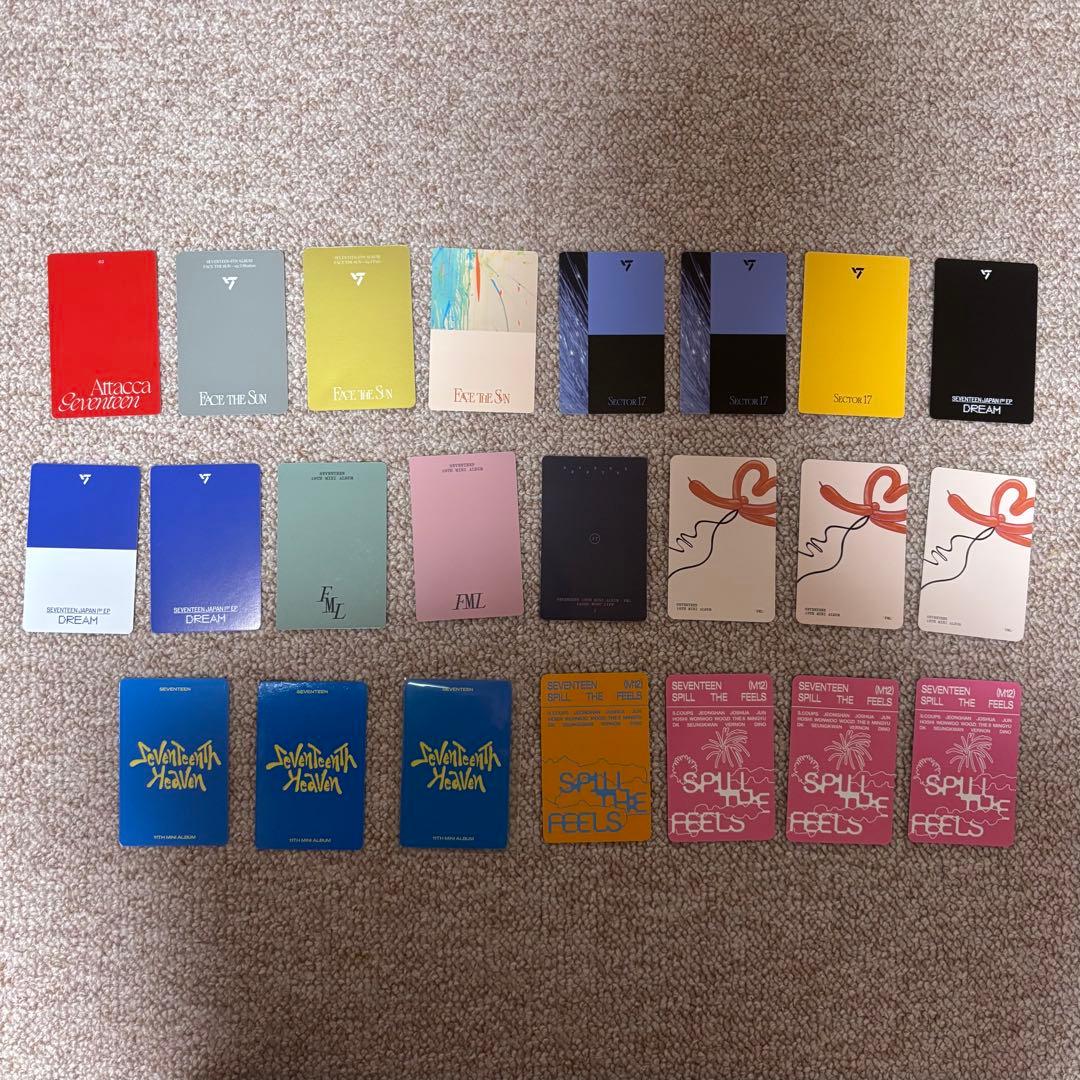 RT-188309 seventeen ウォヌ　セット