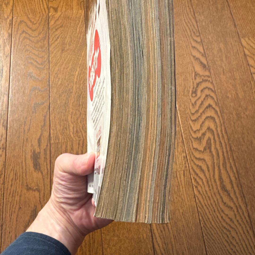 少年ジャンプ1995年25号 ドラゴンボール 最終話 美品