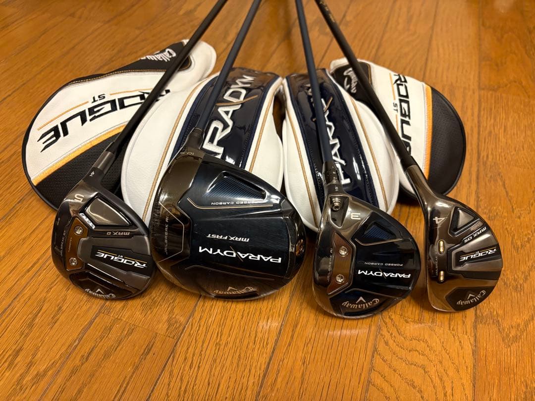 【超激安】②PARADYM〜ROGUE ST（10本）+おまけ（PT&WG2本）