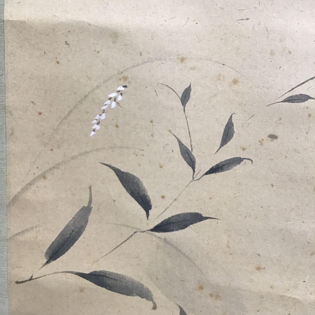 K茶道具　掛軸　「水邊(池蛙)」　双年作　共箱(一部削れ有り)　S215KJ